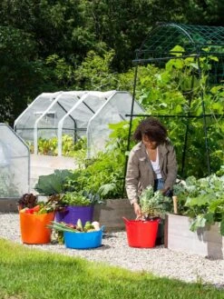 3-Season Plant Protection Tent, 3' X 6' 19 3-Season Plant Protection Tent, 3' X 6' -The Garden Shop 35 592 0181 1