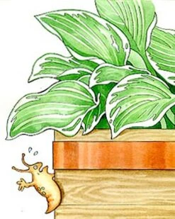 Copper Slug Tape -The Garden Shop 38 994 b