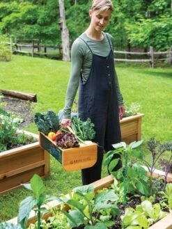 Garden Hods 9 Garden Hods -The Garden Shop 39 761 0146 tif