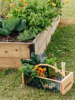 Garden Hods 8 Garden Hods -The Garden Shop 39 761 572 tif