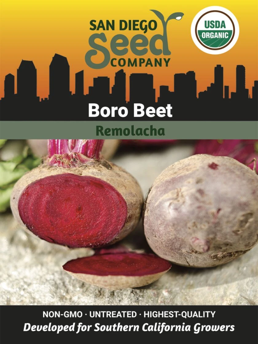 Beet, Boro Organic Seeds 1 Beet, Boro Organic Seeds