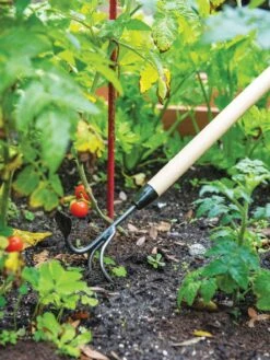 Gardener's Lifetime Long-Handled Double Tool -The Garden Shop 3 4 crop 8592107 2460 tif
