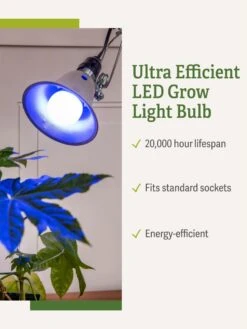 Miracle LED® Grow Light Bulb, Blue -The Garden Shop 3 4 crop Miracle Bulb Blue 1