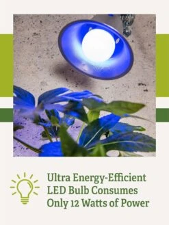 Miracle LED® Grow Light Bulb, Blue -The Garden Shop 3 4 crop Miracle Bulb Blue 2