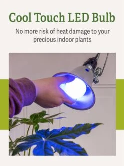 Miracle LED® Grow Light Bulb, Blue -The Garden Shop 3 4 crop Miracle Bulb Blue 4
