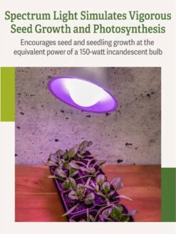 Miracle LED® Grow Light Bulb, Red And Blue 10 Miracle LED® Grow Light Bulb, Red And Blue -The Garden Shop 3 4 crop Miracle Bulb RB 3