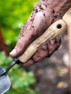 The Garden Shop -The Garden Shop 8586972 3252 tif