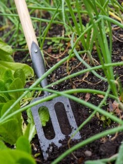 Gardener's Lifetime Spork -The Garden Shop 8586973 2383 tif