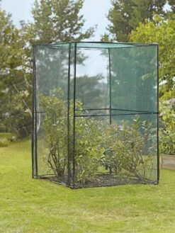 Crop Cage, 4' X 4' 8 Crop Cage, 4' X 4' -The Garden Shop 8587832 149 tif