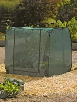 Pest Control Pop-Ups 11 Pest Control Pop-Ups -The Garden Shop 8587859 026 tif