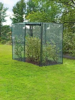 Crop Cage, 4' X 8' 14 Crop Cage, 4' X 8' -The Garden Shop 8589160 002 tif