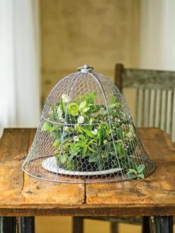 Chicken Wire Cloche -The Garden Shop 8590210 1 tif