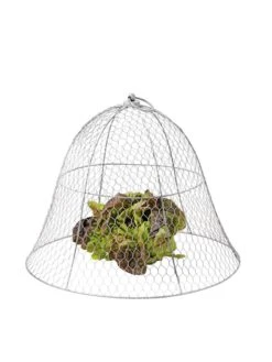 Chicken Wire Cloche -The Garden Shop 8590210 675 tif