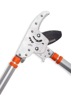 Telescoping Ratchet Loppers -The Garden Shop 8591285 025 tif