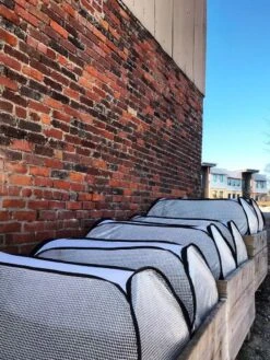 Row Shelter Accelerator 9 Row Shelter Accelerator -The Garden Shop 8591990 01IN tif