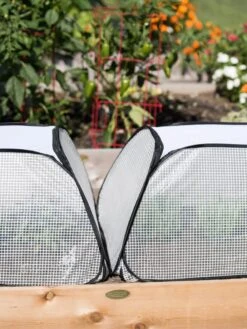 Row Shelter Accelerator 10 Row Shelter Accelerator -The Garden Shop 8591990 2199 tif