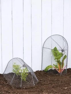 3-in-1 Chicken Wire Cloche 9 3-in-1 Chicken Wire Cloche -The Garden Shop 8592117 0188 tif