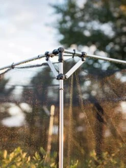 Storm Proof Crop Cage, Large -The Garden Shop 8592463 114 tif