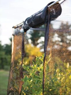 Storm Proof Crop Cage, Large -The Garden Shop 8592463 115 tif