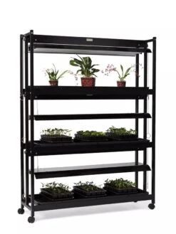 High Intensity 3-Tier SunLite® Garden -The Garden Shop 8593944 1608 tif