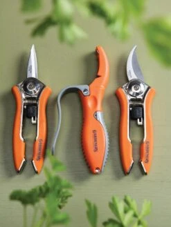 Gardener's Pocket Tool Set 5 Gardener's Pocket Tool Set -The Garden Shop 8595268 9487 tif