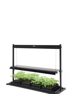LED SunLite® Tabletop Garden 7 LED SunLite® Tabletop Garden -The Garden Shop 8595552 10125 tif