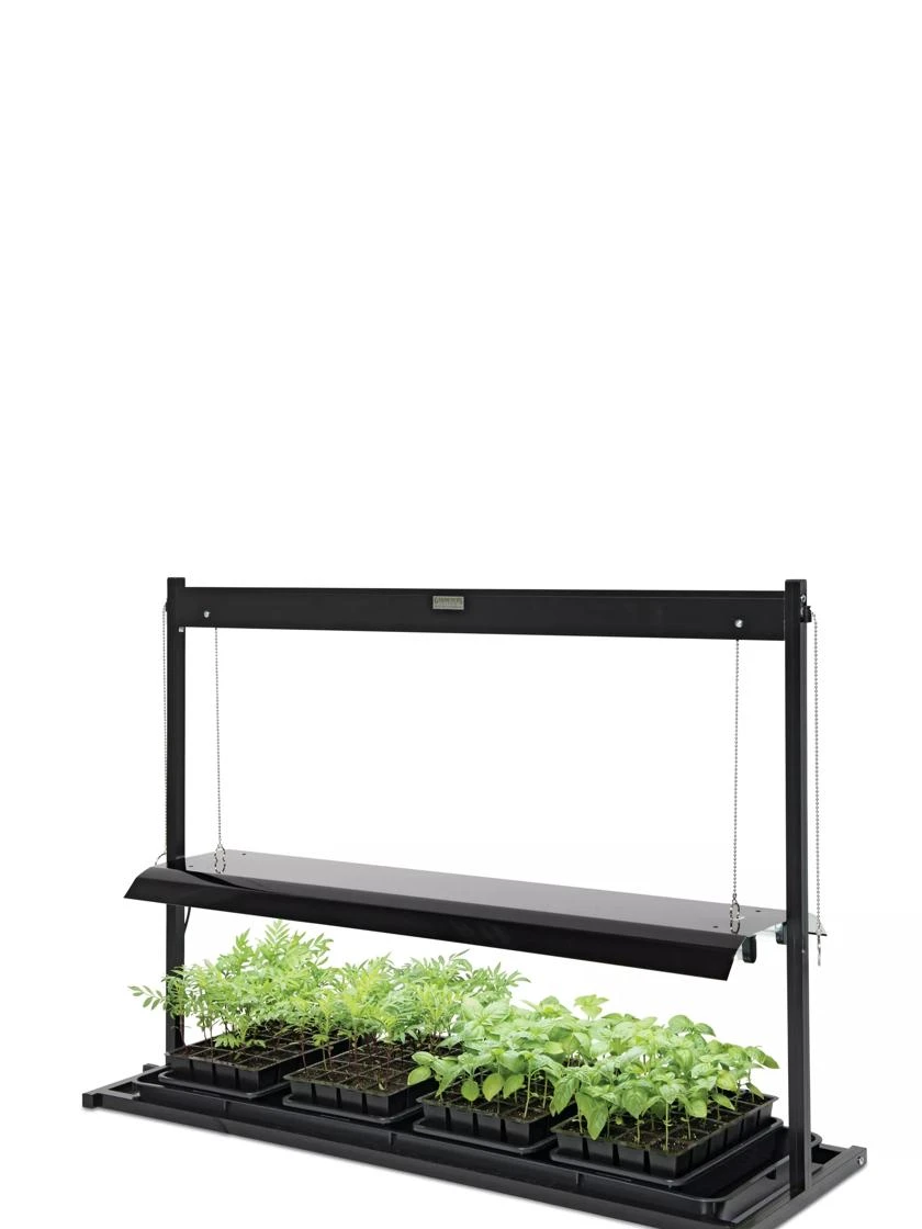 LED SunLite® Tabletop Garden 3 LED SunLite® Tabletop Garden - Image 3