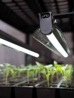 The Garden Shop -The Garden Shop 8595770 7346 tif