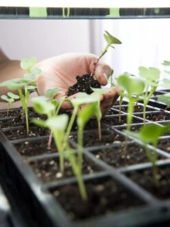 LED Stack-n-Grow Lights - Base Unit -The Garden Shop 8595770 7373 tif