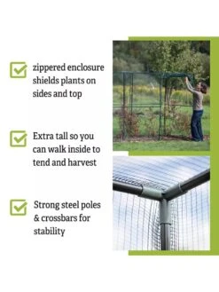 Crop Cage, 4' X 12' -The Garden Shop 8596540 4