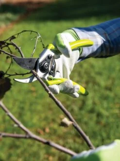 Gardener's Pro Pruner #2 -The Garden Shop 8596605 032 tif