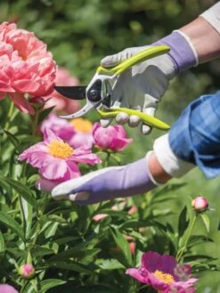 Gardener's Pro Pruner #2 -The Garden Shop 8596605 1261 tif