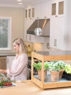 Low Bamboo LED Grow Light Garden 22 Low Bamboo LED Grow Light Garden -The Garden Shop 8597720 0816 tif