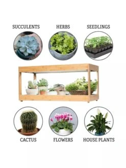 Low Bamboo LED Grow Light Garden 17 Low Bamboo LED Grow Light Garden -The Garden Shop 8597720 3