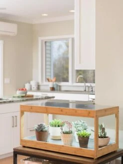 Low Bamboo LED Grow Light Garden 21 Low Bamboo LED Grow Light Garden -The Garden Shop 8597720 9385 tif