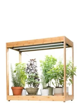 Medium Bamboo LED Grow Light Garden -The Garden Shop 8597883 1011 tif