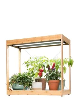 Medium Bamboo LED Grow Light Garden -The Garden Shop 8597883 1013 tif