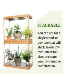 Medium Bamboo LED Grow Light Garden -The Garden Shop 8597883 6