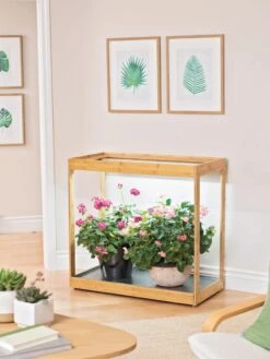 Medium Bamboo LED Grow Light Garden -The Garden Shop 8597883 9279 tif