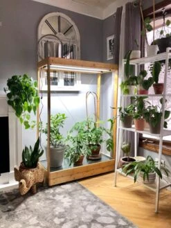 Tall Bamboo LED Grow Light Garden 12 Tall Bamboo LED Grow Light Garden -The Garden Shop 8597884 01IN tif