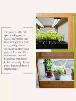 Bamboo LED Grow Light Garden For Succulents And Seeds -The Garden Shop 8598084 7