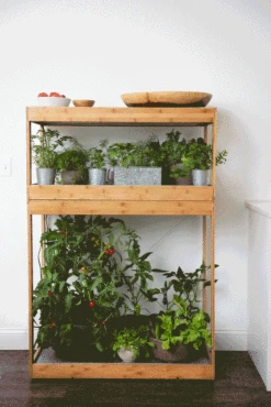 Bamboo Home LED Grow Light Garden -The Garden Shop 8598088 BambooLEDHomeGarden light gif