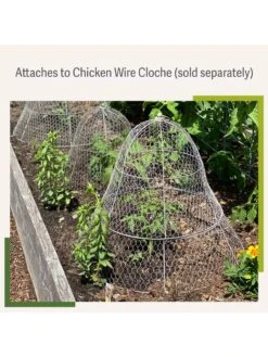 Chicken Wire Cloche Extension 11 Chicken Wire Cloche Extension -The Garden Shop 8599107 2