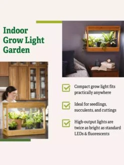 Bamboo Mini LED Grow Light Garden 17 Bamboo Mini LED Grow Light Garden -The Garden Shop 8599624 04