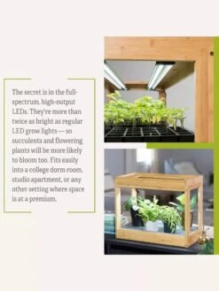 Bamboo Mini LED Grow Light Garden 18 Bamboo Mini LED Grow Light Garden -The Garden Shop 8599624 06