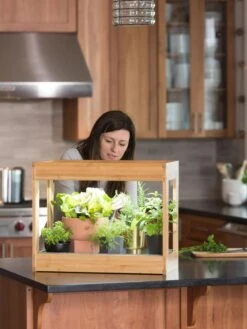 Bamboo Mini LED Grow Light Garden 13 Bamboo Mini LED Grow Light Garden -The Garden Shop 8599624 12532 tif