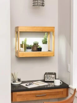 Bamboo Mini LED Grow Light Garden 12 Bamboo Mini LED Grow Light Garden -The Garden Shop 8599624 12872 tif