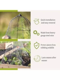 Chicken Wire Cloche With Extension -The Garden Shop 8600116 3
