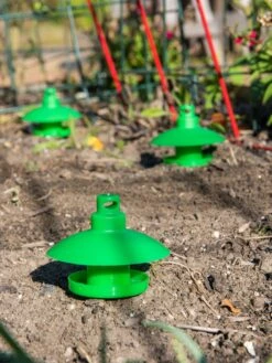 Slug And Snail Traps, Set Of 3