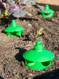 Slug And Snail Traps, Set Of 3 -The Garden Shop 8600120 1788